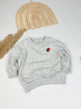 Lade das Bild in den Galerie-Viewer, Oversized Sweatshirt Ladybug grey