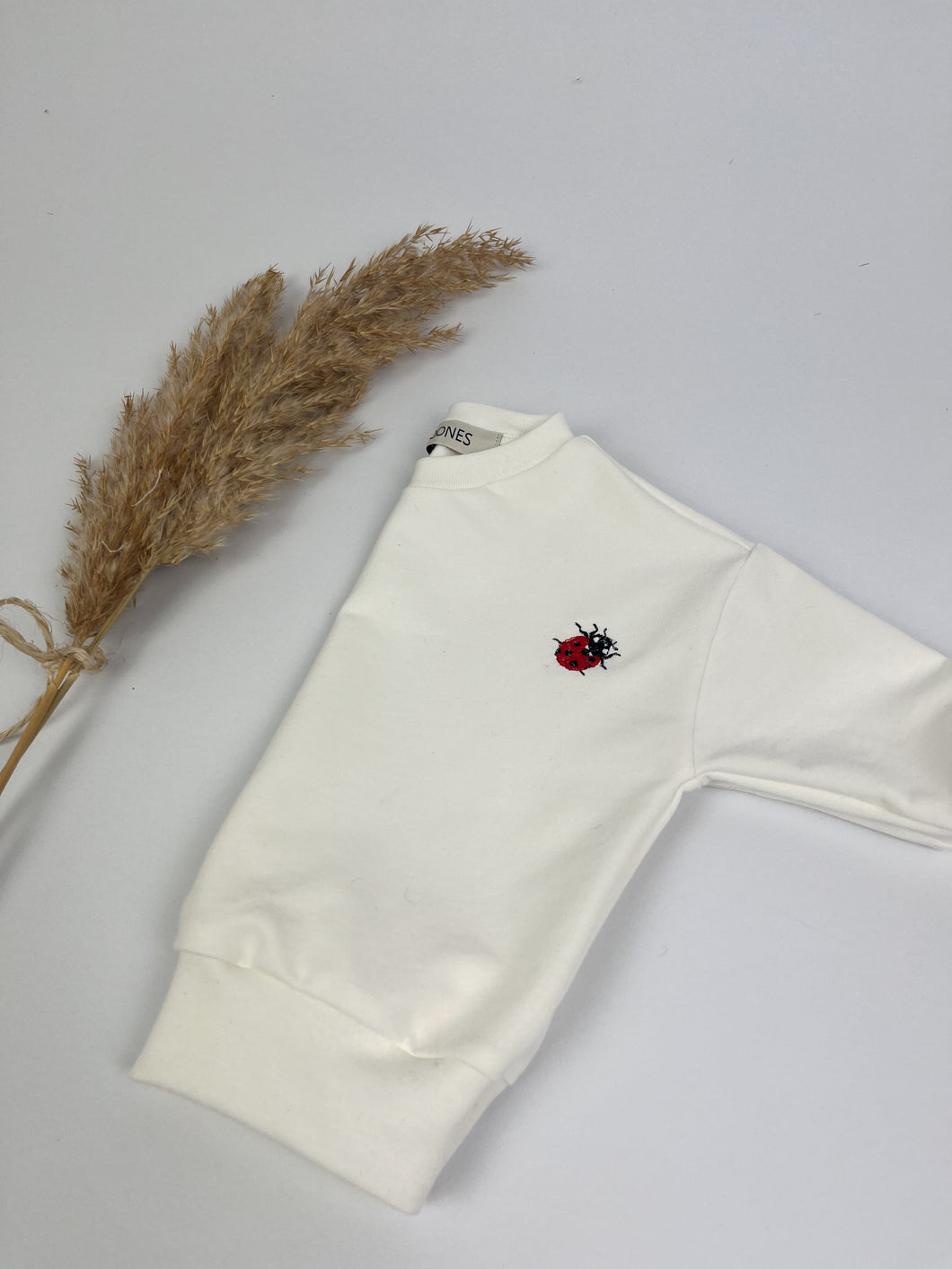 Oversized Sweatshirt Ladybug