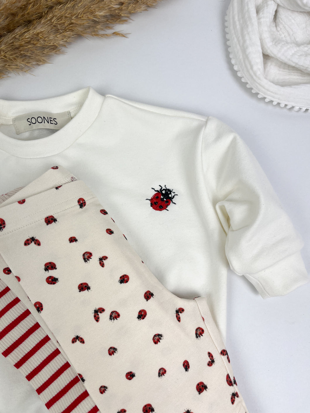 Leggings Ladybug 104